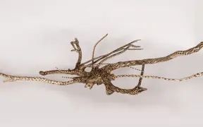tattooed wood art piece