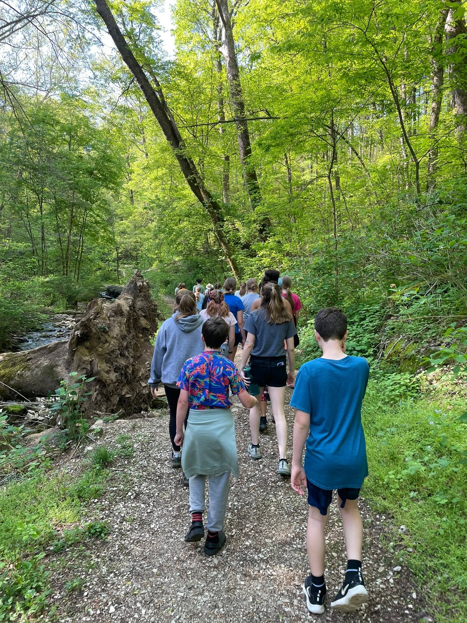 Students hike a wooded trail during an outdoor environmental learning field trip.