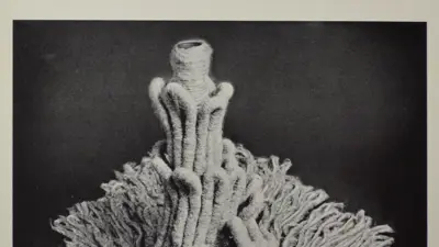 Invitation to the 1977 Fiber From the Guild exhibition