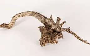 tattooed wood art piece