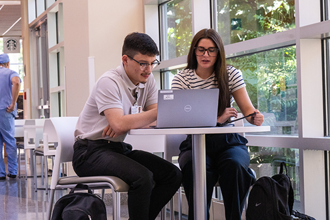 Two health informatics interns sitting at hospital lobby with laptop