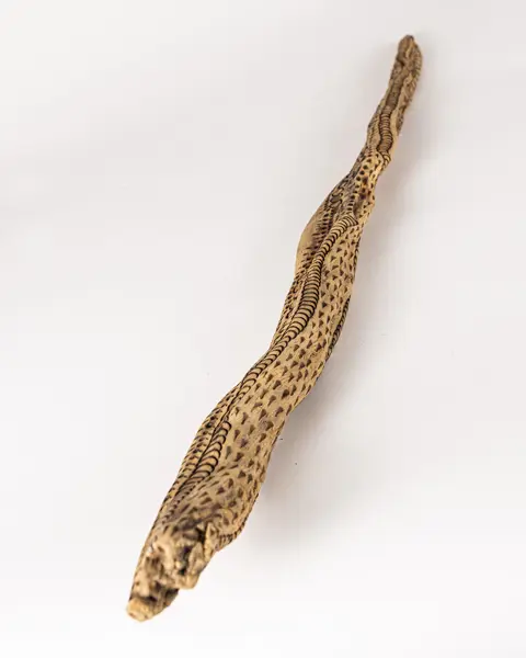 tattooed wood art piece