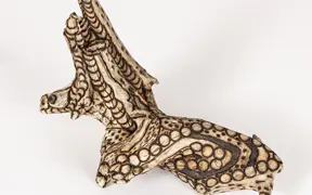 tattooed wood art piece