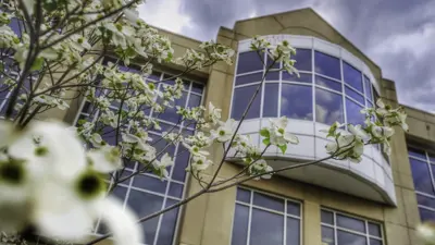 The College of Liberal Arts