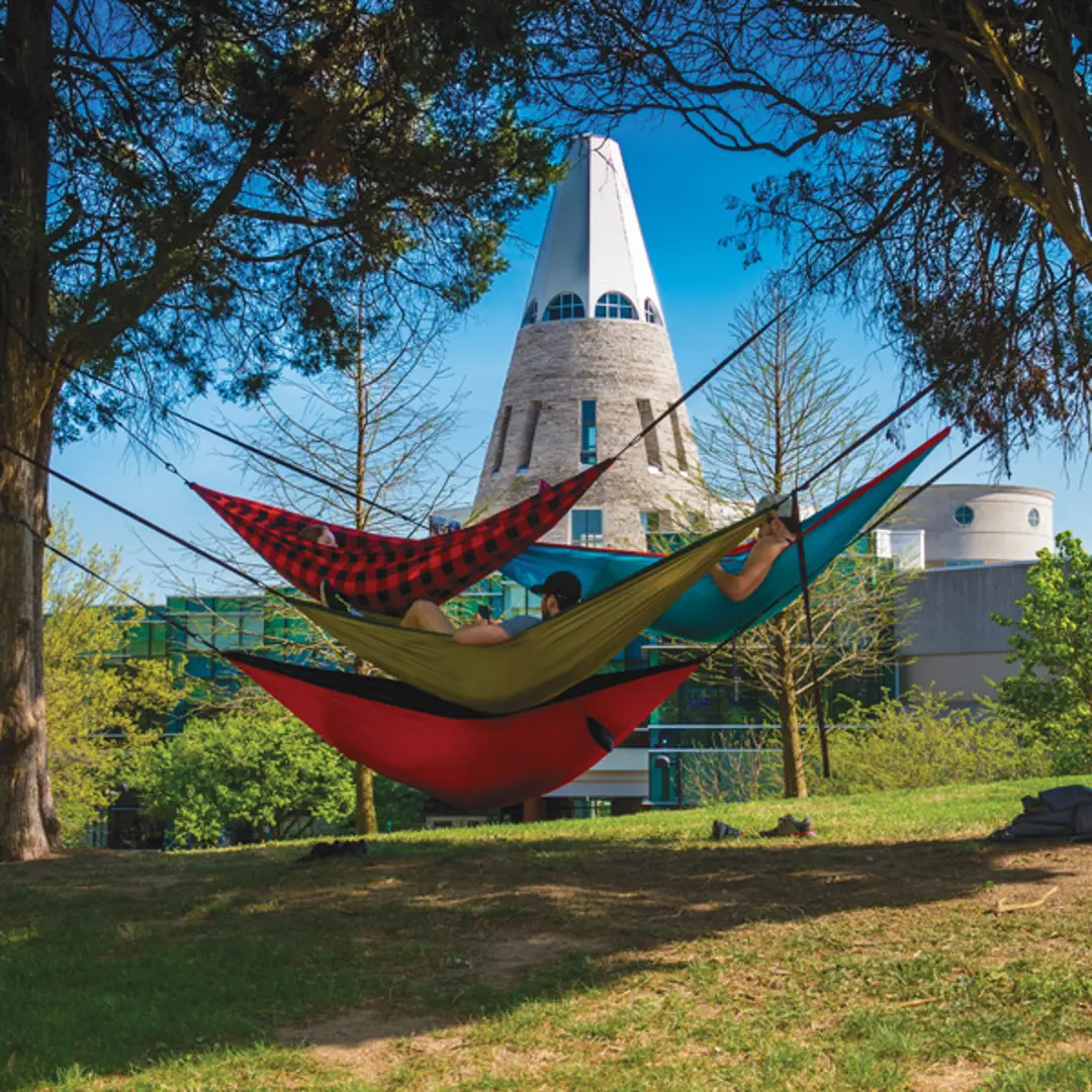 Four students lounge in hammocks under the shade with the University Center Tower in the background