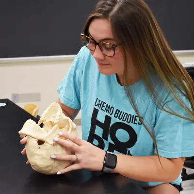 Pre-dentistry student holds and examines a model skull with its jaw open