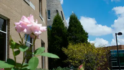 Close-up view of flowers outside University Center West