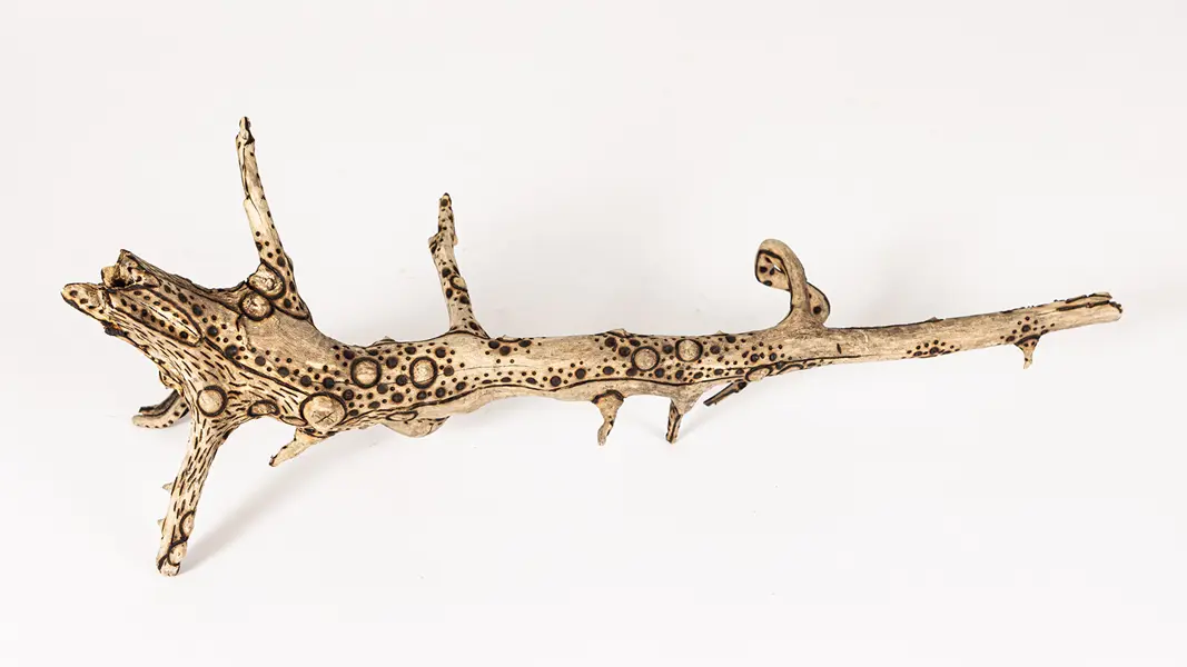 tattooed wood art piece