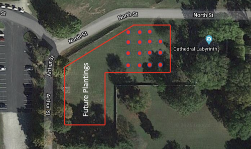aerial map of where trees have been planted in the Harmonist Orchard and where future planting will occur