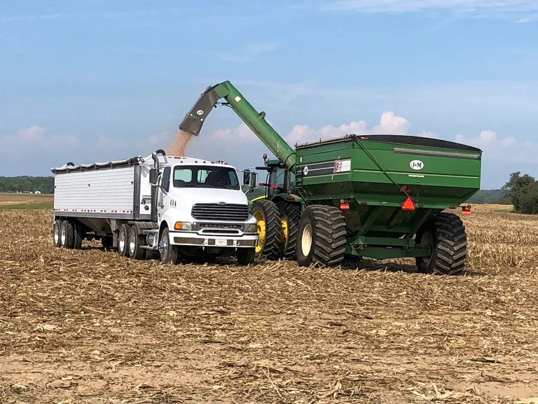 Corn Harvest