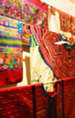 2008 Exhibitions