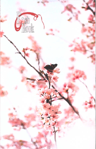 Cover of FishHook Vol. 10