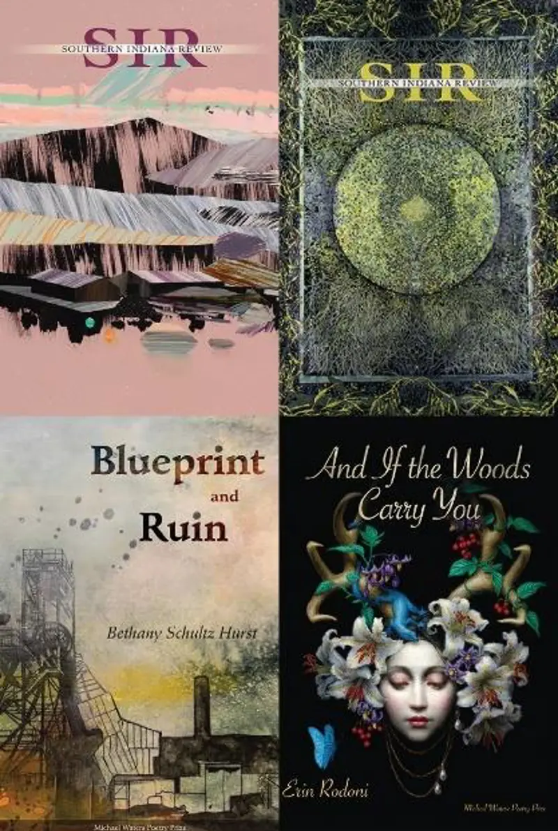 Covers of books and publications by USI faculty and students