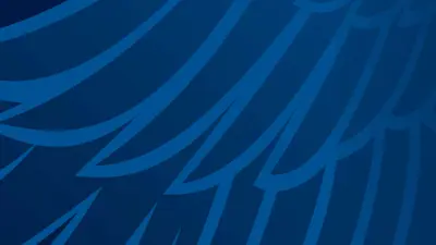 Graphic image of blue feathers of eagle wings