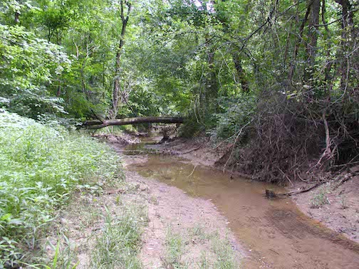 stream