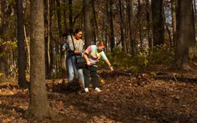 Students rake up acorns after a mask year of acorns dropped by the oak trees on the south trails. 