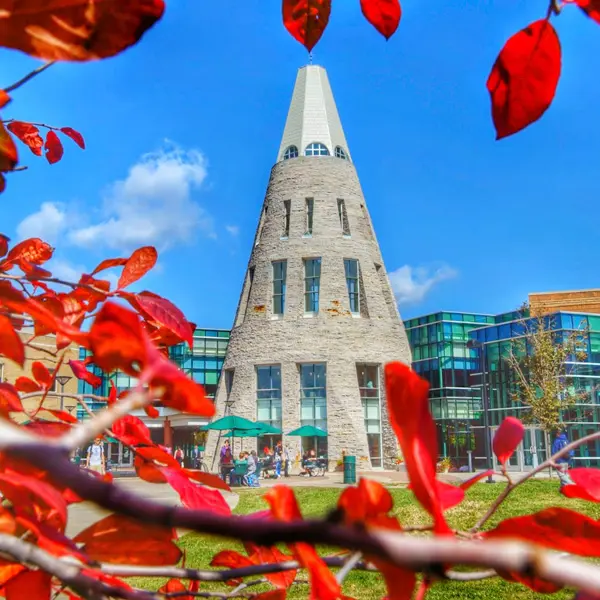 Exterior view of the University Center Tower seen through the branches of a tree with fall leaves