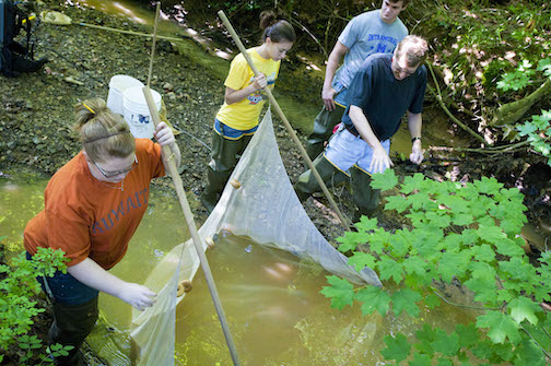 students electrofishing