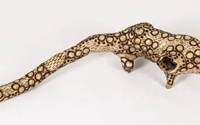 tattooed wood art piece