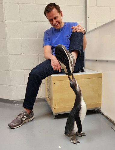 man with a penguin biting his shoe