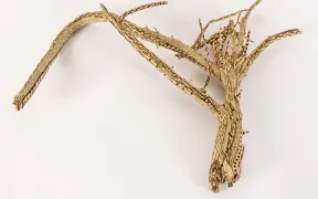tattooed wood art piece
