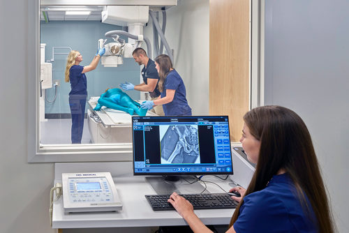 Students and Faculty using the X-Ray room