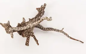 tattooed wood art piece