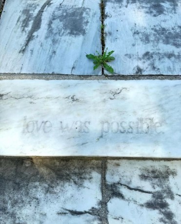 Marble House project grounds