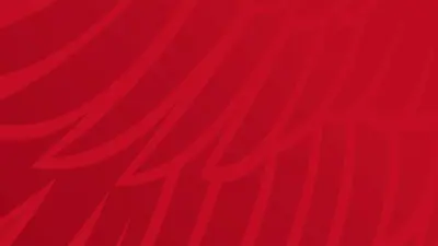 Graphic image of red feathers of eagle wings