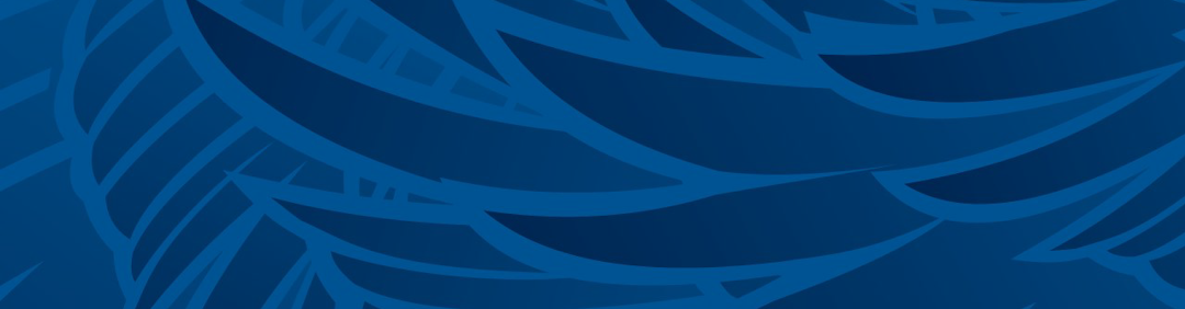 Blue wing banner