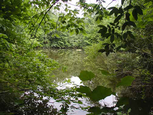large lake in USI's nature preserve