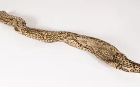 tattooed wood art piece