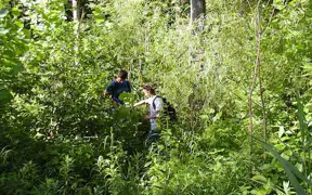 students checking traps in nature preserve